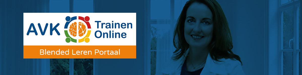 Trainen Online Blended Leren